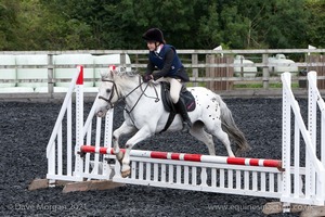 Class 3 -  Fences not above 2'3